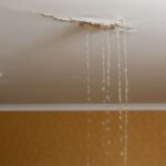 RERA Orders Builder to Fix Terrace Leakage Within 60 Days Under Section 14(3) of RERA