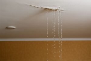 RERA Orders Builder to Fix Terrace Leakage Within 60 Days Under Section 14(3) of RERA